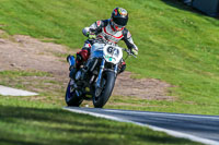 Oulton-Park-20th-March-2020;PJ-Motorsport-Photography-2020;anglesey;brands-hatch;cadwell-park;croft;donington-park;enduro-digital-images;event-digital-images;eventdigitalimages;mallory;no-limits;oulton-park;peter-wileman-photography;racing-digital-images;silverstone;snetterton;trackday-digital-images;trackday-photos;vmcc-banbury-run;welsh-2-day-enduro